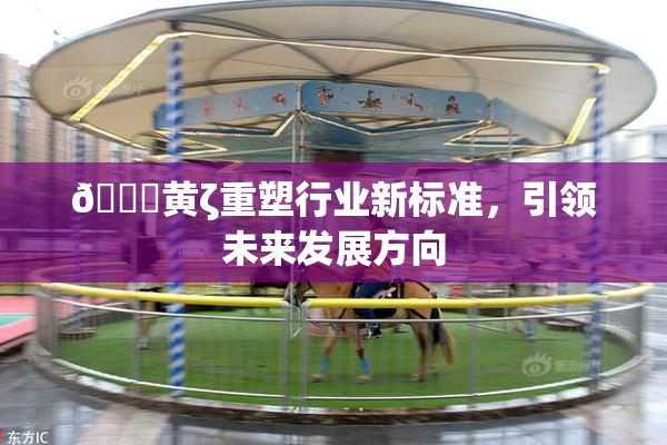 🔞黄ζ重塑行业新标准，引领未来发展方向
