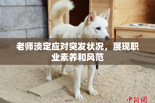 老师淡定应对突发状况，展现职业素养和风范
