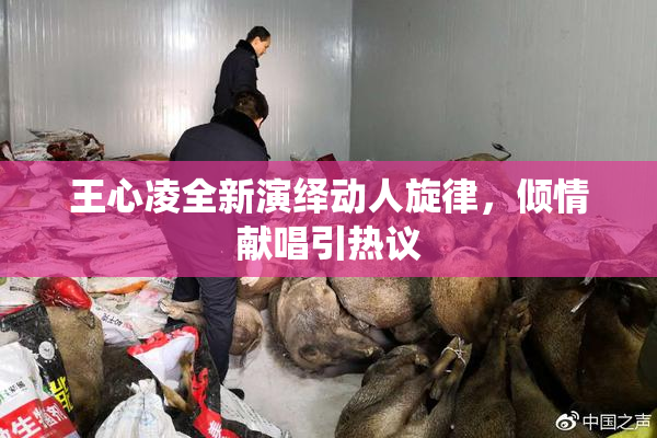 王心凌全新演绎动人旋律，倾情献唱引热议