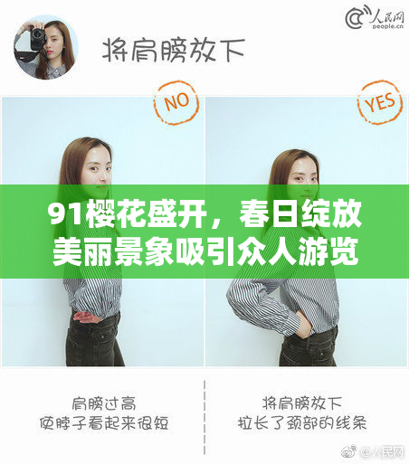 91樱花盛开，春日绽放美丽景象吸引众人游览
