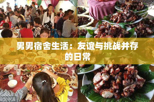 男男宿舍生活：友谊与挑战并存的日常