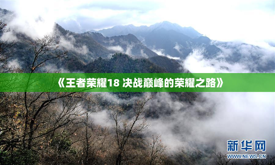 《王者荣耀18 决战巅峰的荣耀之路》