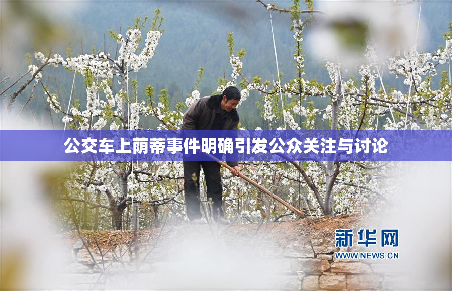 公交车上荫蒂事件明确引发公众关注与讨论