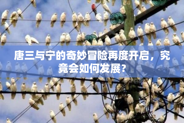 唐三与宁的奇妙冒险再度开启，究竟会如何发展？