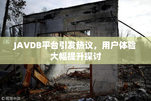 JAVDB平台引发热议，用户体验大幅提升探讨