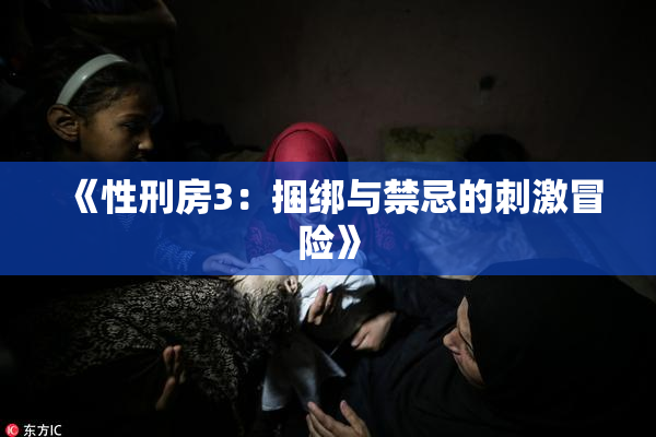 《性刑房3：捆绑与禁忌的刺激冒险》