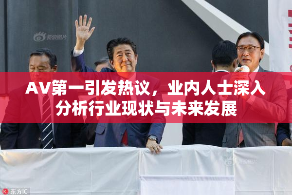 AV第一引发热议，业内人士深入分析行业现状与未来发展