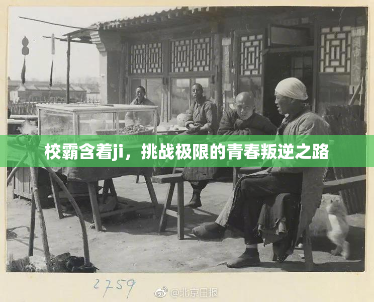 校霸含着ji，挑战极限的青春叛逆之路