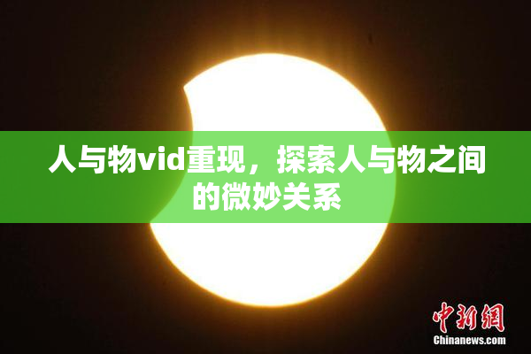 人与物vid重现，探索人与物之间的微妙关系