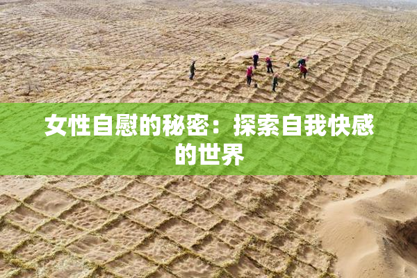 女性自慰的秘密：探索自我快感的世界