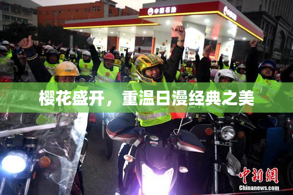 樱花盛开，重温日漫经典之美