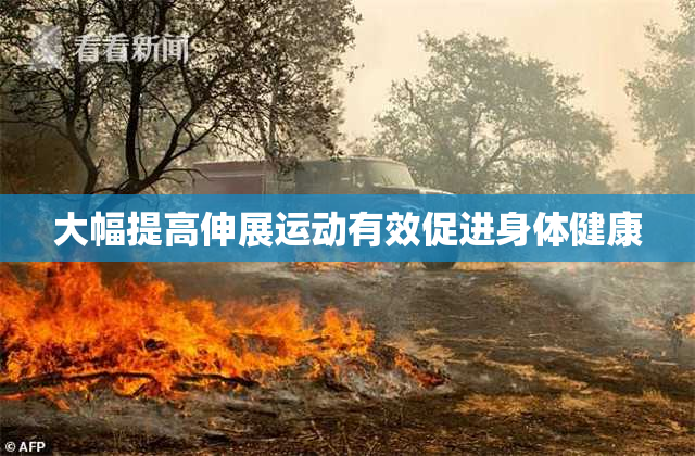 大幅提高伸展运动有效促进身体健康