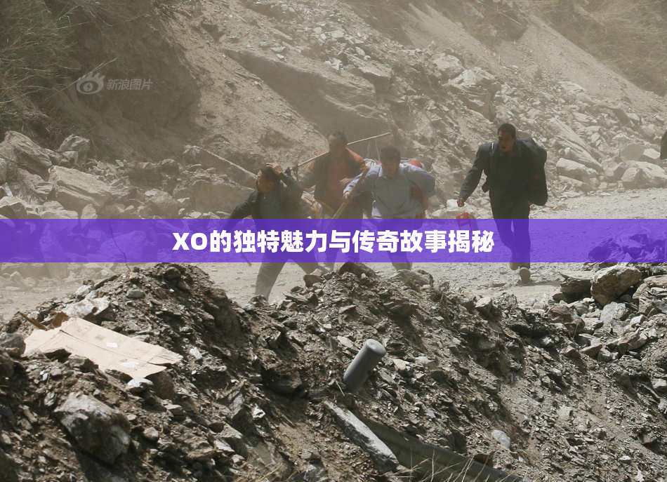 XO的独特魅力与传奇故事揭秘