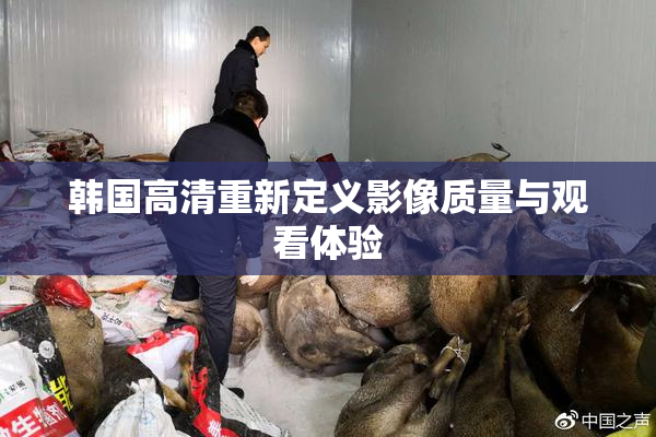韩国高清重新定义影像质量与观看体验