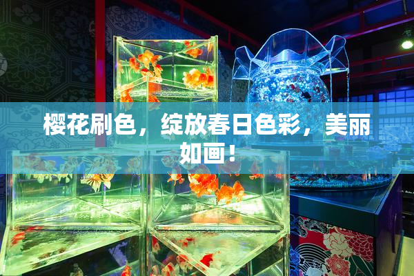 樱花刷色，绽放春日色彩，美丽如画！