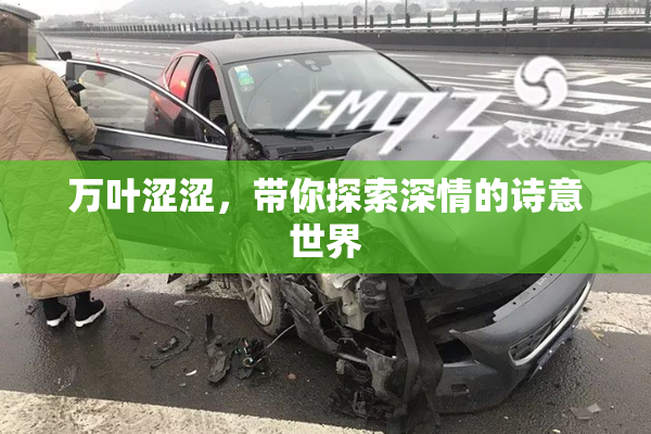 万叶涩涩，带你探索深情的诗意世界