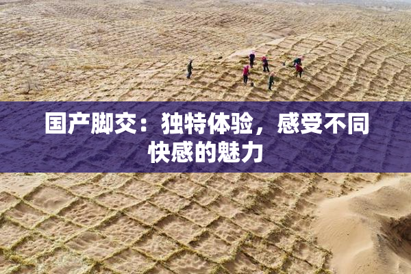国产脚交：独特体验，感受不同快感的魅力