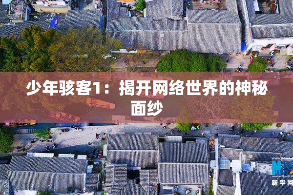 少年骇客1：揭开网络世界的神秘面纱