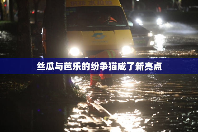 丝瓜与芭乐的纷争猫成了新亮点