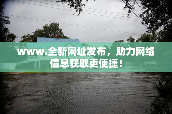 www.全新网址发布，助力网络信息获取更便捷！