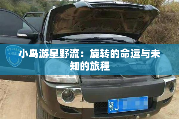 小鸟游星野流：旋转的命运与未知的旅程
