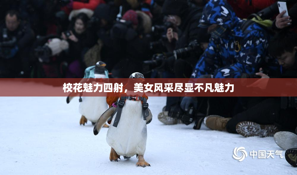 校花魅力四射，美女风采尽显不凡魅力