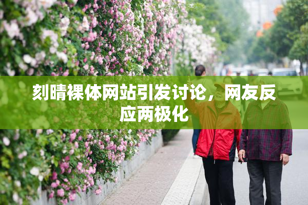 刻晴裸体网站引发讨论，网友反应两极化