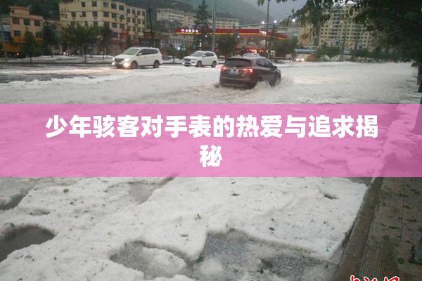 少年骇客对手表的热爱与追求揭秘