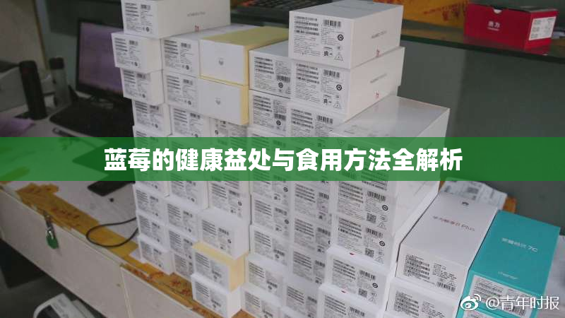 蓝莓的健康益处与食用方法全解析