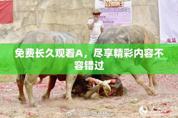 免费长久观看A，尽享精彩内容不容错过