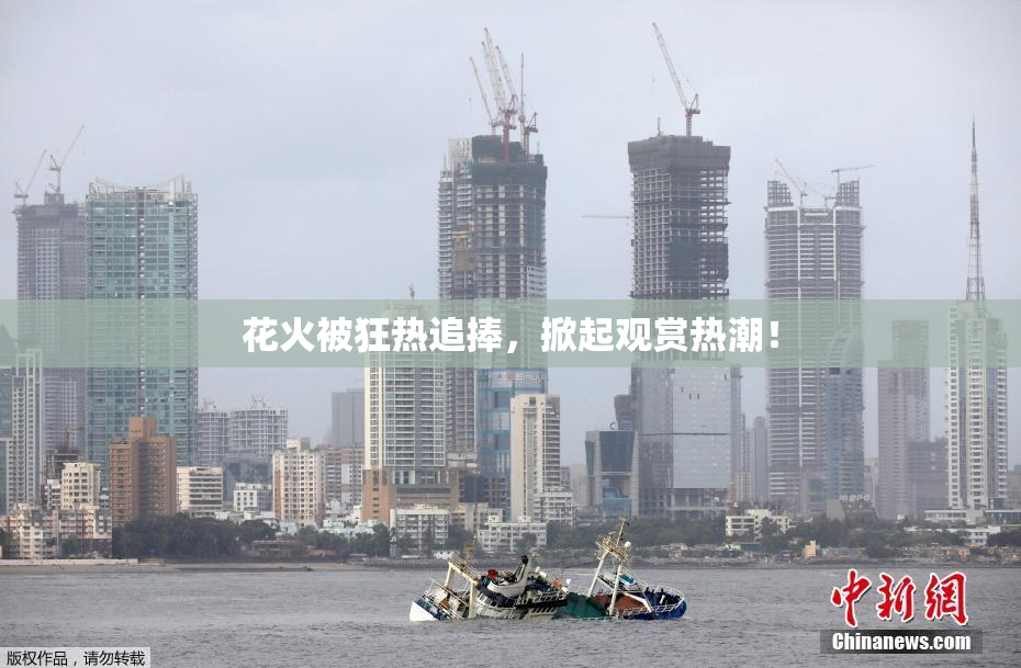 花火被狂热追捧，掀起观赏热潮！