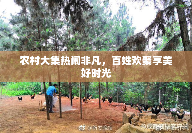 农村大集热闹非凡，百姓欢聚享美好时光