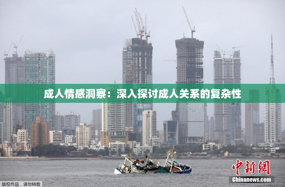 成人情感洞察：深入探讨成人关系的复杂性