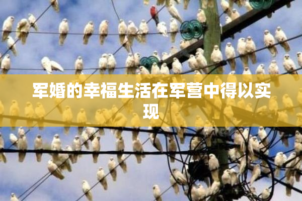 军婚的幸福生活在军营中得以实现