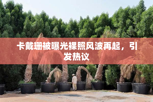 卡戴珊被曝光裸照风波再起，引发热议