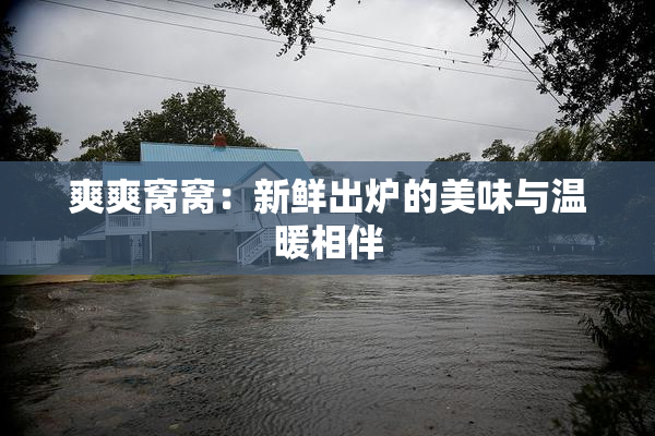 爽爽窝窝：新鲜出炉的美味与温暖相伴