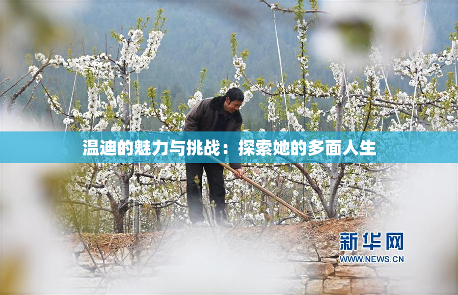 温迪的魅力与挑战：探索她的多面人生