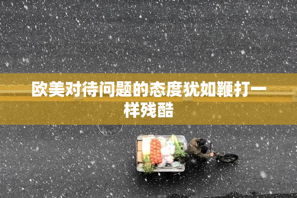 欧美对待问题的态度犹如鞭打一样残酷