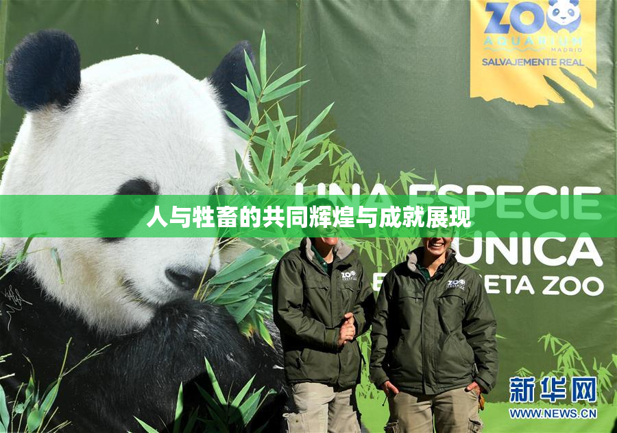 人与牲畜的共同辉煌与成就展现