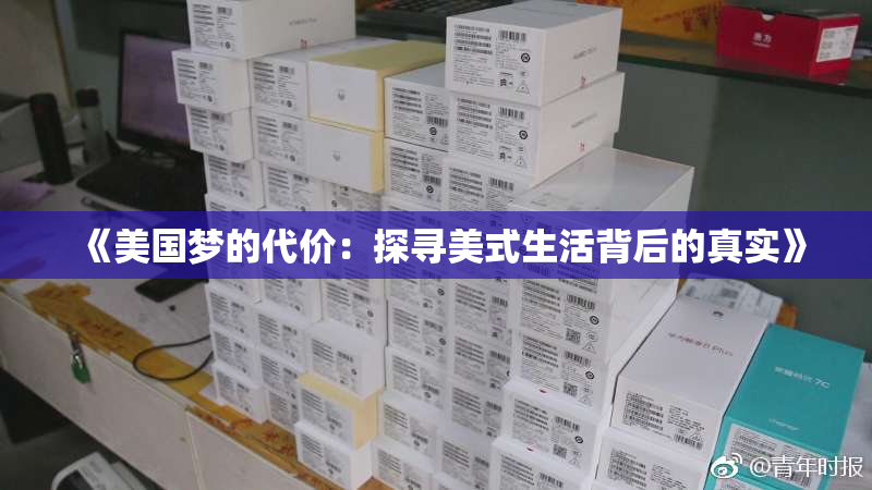 《美国梦的代价：探寻美式生活背后的真实》