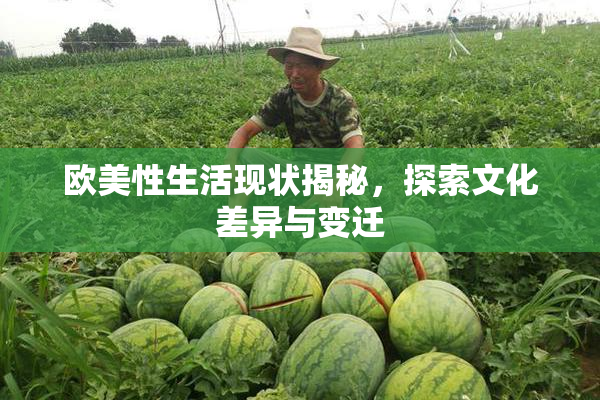 欧美性生活现状揭秘，探索文化差异与变迁