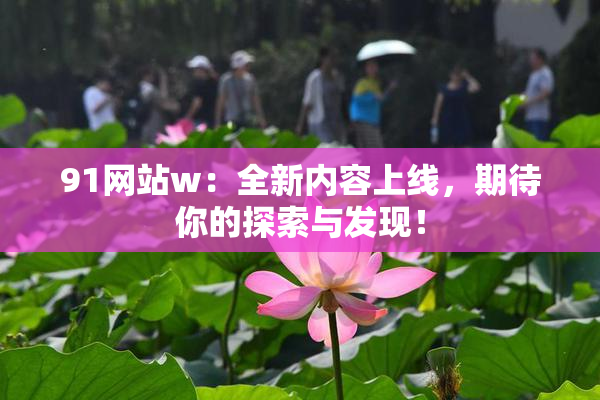 91网站w：全新内容上线，期待你的探索与发现！