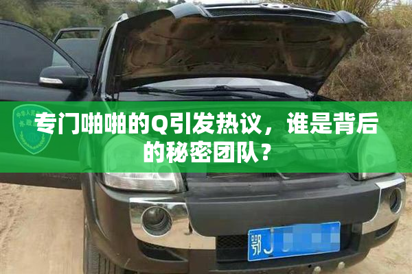 专门啪啪的Q引发热议，谁是背后的秘密团队？