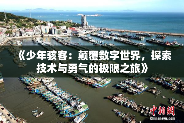 《少年骇客：颠覆数字世界，探索技术与勇气的极限之旅》