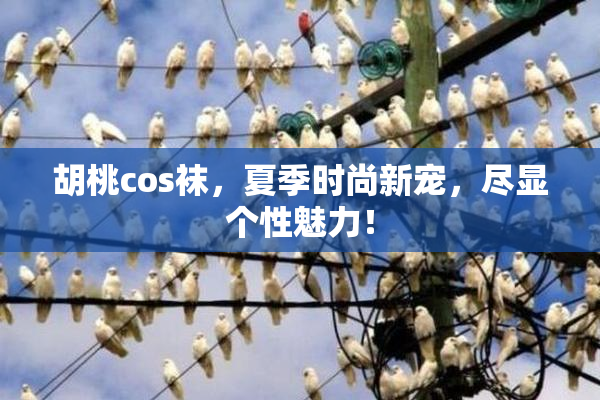 胡桃cos袜，夏季时尚新宠，尽显个性魅力！