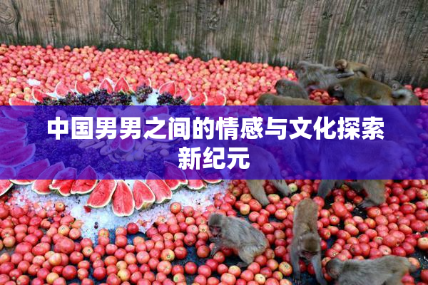 中国男男之间的情感与文化探索新纪元