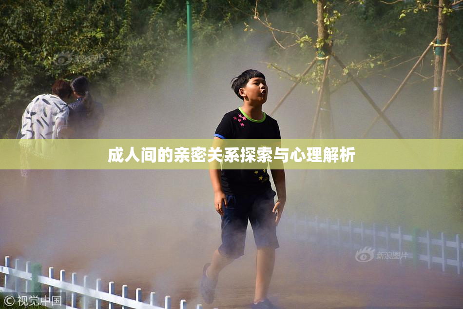 成人间的亲密关系探索与心理解析
