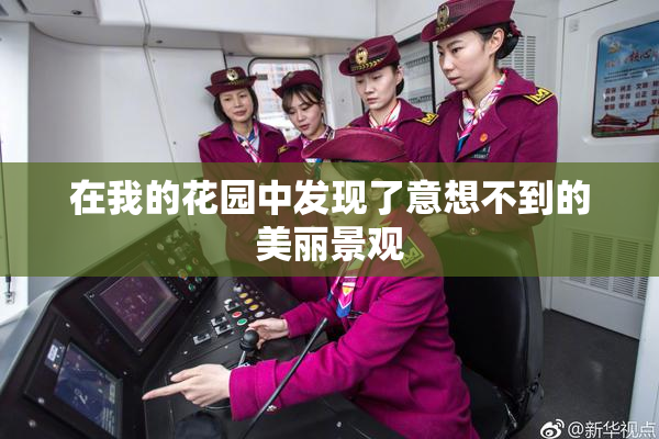 在我的花园中发现了意想不到的美丽景观
