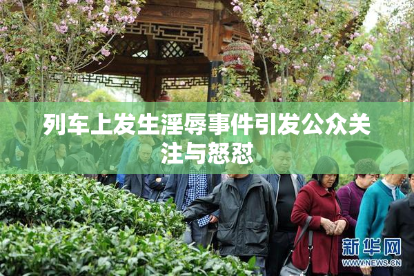 列车上发生淫辱事件引发公众关注与怒怼