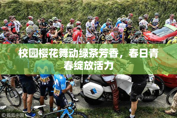 校园樱花舞动绿茶芳香，春日青春绽放活力
